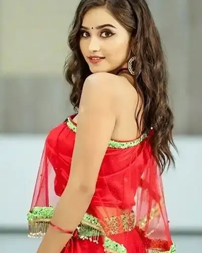 Call Girls Service Gudur